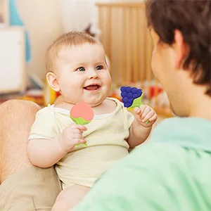 Wholesale BPA Free Fruit Teether Silicone Baby Suction Banana Shape Teether Set Teething - Image 6