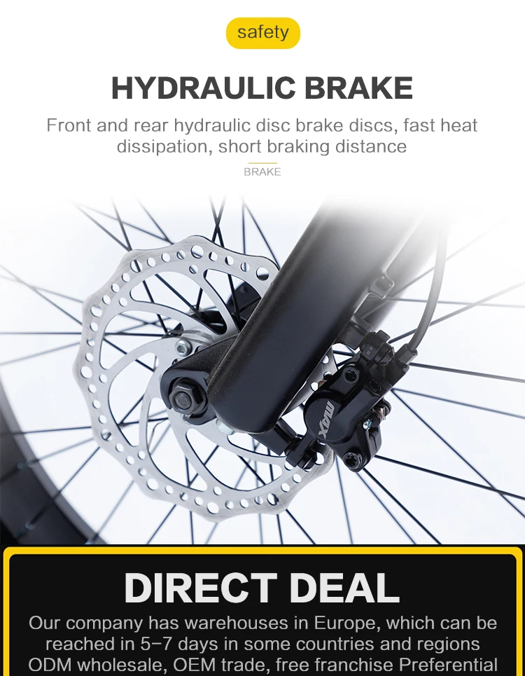 Hot Sale 750W/1500W Electric Fat Tire MTB Bike 20" 7 Speed Full Suspension Lithium Battery E-Bicycle Electric City Bike - Image 6