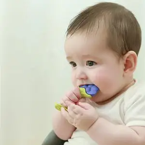 Wholesale BPA Free Fruit Teether Silicone Baby Suction Banana Shape Teether Set Teething - Image 5