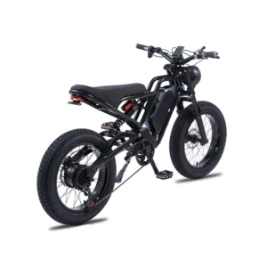 Hot Sale 750W/1500W  Electric Fat Tire MTB Bike 20" 7 Speed Full Suspension Lithium Battery E-Bicycle Electric City Bike